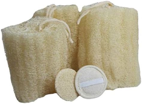 Buy All Natural Loofah Sponge, Set of 3 Real Egyptian Bath & Shower ...
