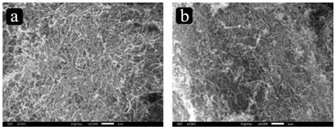 Reinforcement of Aminopropyl-Terminated Siloxane-Treated Carbon ...