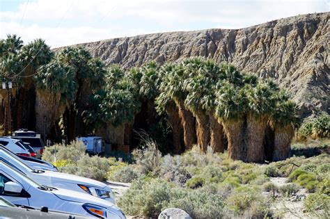 Coachella Valley Preserve - Thousand Palms Oasis Preserve