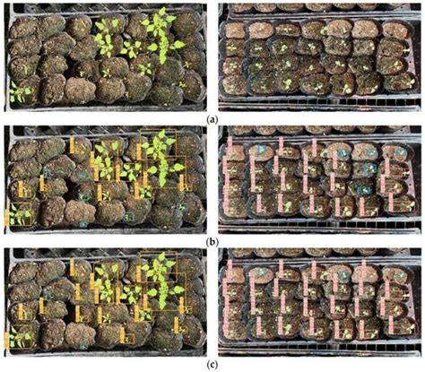 HAD-YOLO: An Accurate and Effective Weed Detection Model Based on ...