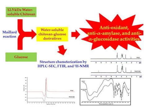 Anti-Oxidant and Anti-Diabetes Potential of Water-Soluble Chitosan ...