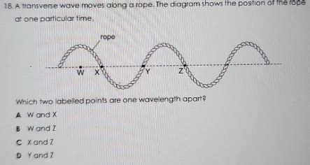 Image result for Transverse Wave Using Rope