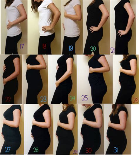 List 94+ Pictures Difference Between Belly Fat And Pregnant Belly Superb