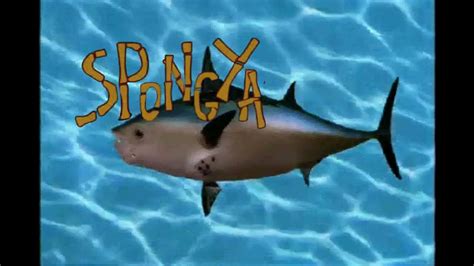 Image result for Spongebob Intro Polish