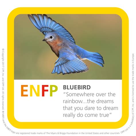 Bird Personality Test