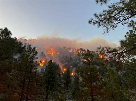 UPDATE: Sheep Fire in Wrightwood explodes to 990 acres on Sunday - VVNG ...
