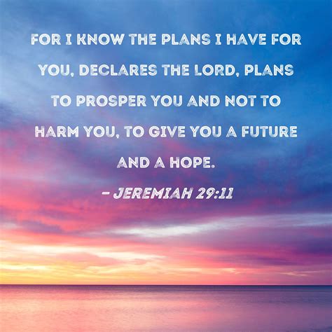 Jeremiah 29:11 For I know the plans I have for you, declares the LORD ...