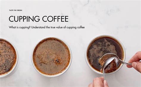 What Is Cupping For Coffee at Paula Silber blog