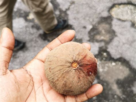 JOHNSONMALAYSIA (2026) All You Need to Know BEFORE You Go (with Photos ...