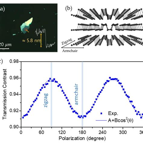 Image result for AFM Explained Microscope