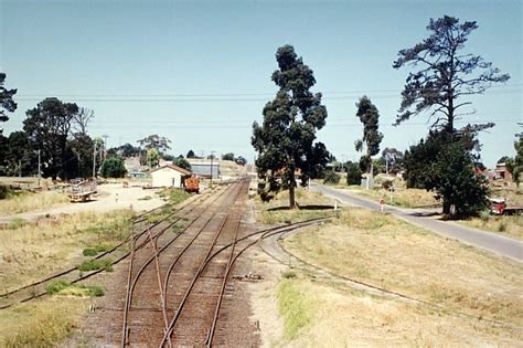 Image result for Maffra Computer Program