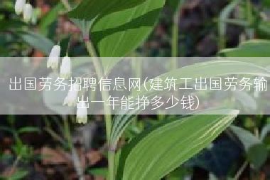 出国劳务招聘信息网(建筑工出国劳务输出一年能挣多少钱)_劳务信息_劳务信息网