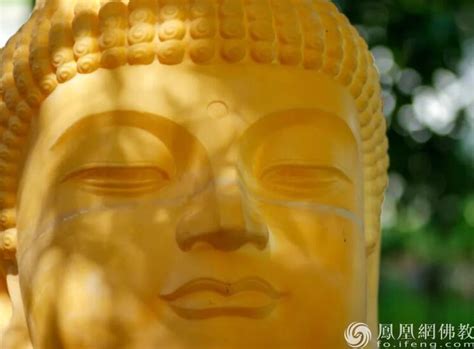 智慧 的图像结果