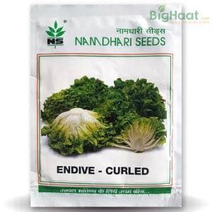 Buy NS 1476 Curly Endive Online India | BigHaat.com | BigHaat