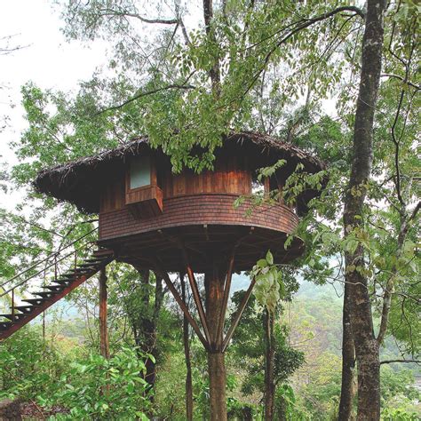 10 beautiful treehouses in India to book this season | Condé Nast ...