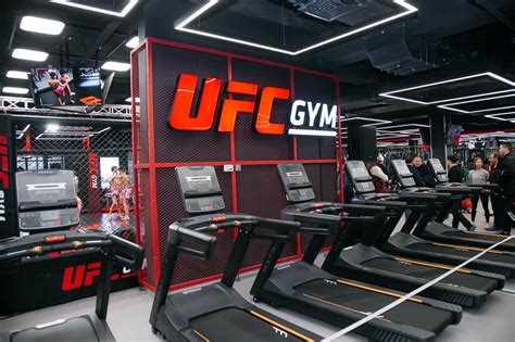 Pro Boxing Gyms 的图像结果
