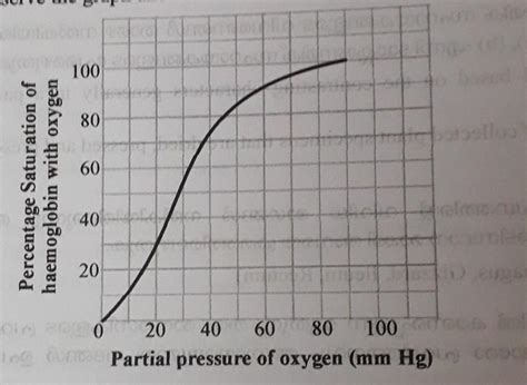 name of the graph...please answer mee - Brainly.in
