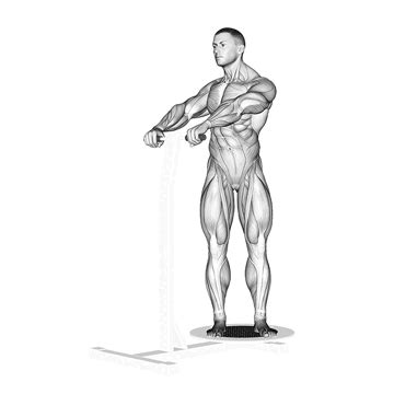 Rotation Machine Exercise Illustration 的图像结果