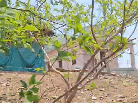 Bride flees to paternal home after spotting cross at in-laws’: Said ...