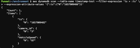 Image result for Timestamp in Advanced Database