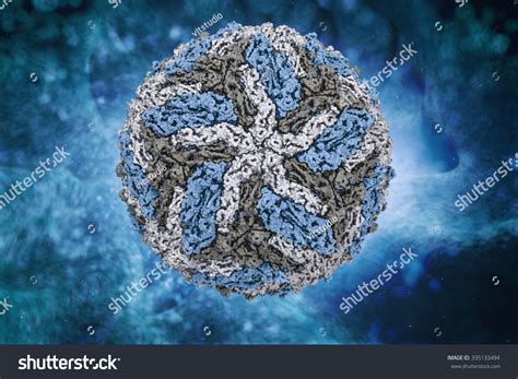 Dengue Fever Acute Viral Disease Transmissible : illustration de stock ...