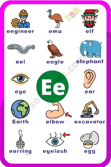 Words From E | Which Things That Start With E | Learn Vocabulary Words ...