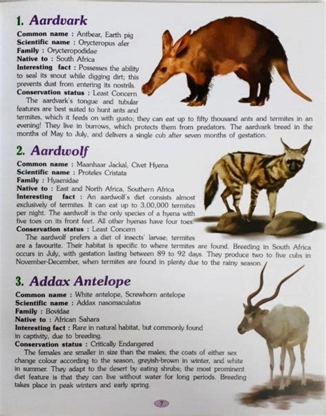 221 Amazing Wild Animals Encyclopaedia – Books and You