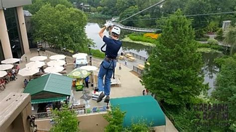 Screaming Raptor Zip Lines (Petersburg) - 2022 What to Know Before You ...