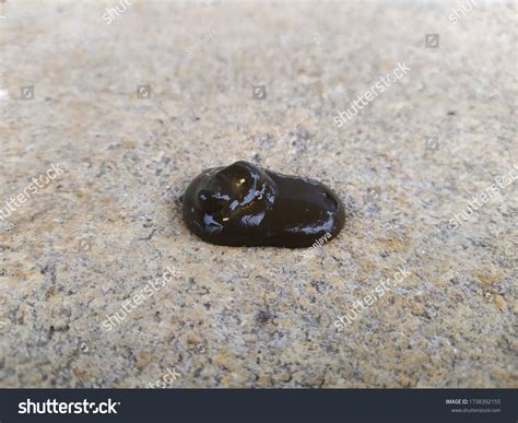 What Does Black Chicken Poop Mean at Rubie Hooper blog