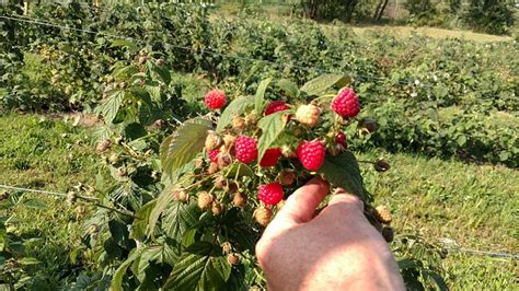 RANSOM SAGE FARM (2026) All You Need to Know BEFORE You Go (with Photos ...