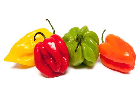 Various Types Of Bell Peppers