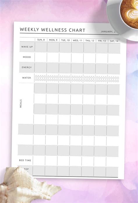 Weekly Routine 的图像结果