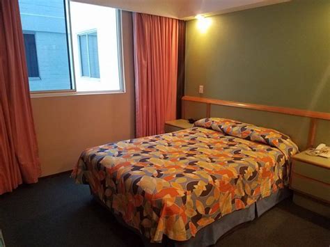 SEGOVIA REGENCY (₹̶ ̶4̶,̶3̶4̶0̶) ₹ 3,756 (Mexico City) Hotel Reviews ...