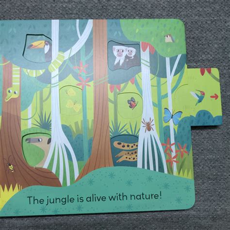 Jungle Journey - Push and Pull adventure – We Are Turners
