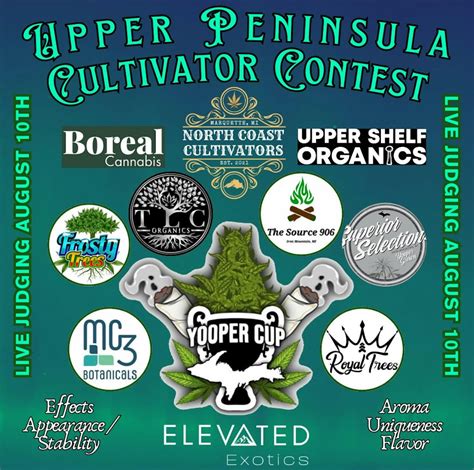 Shop Exotic Cannabis at the Only Elevated Dispensary in Michigan ...