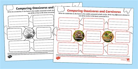 Comparing Omnivores and Carnivores Mind Map