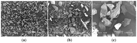 Development of Collagen/Demineralized Bone Powder Scaffolds and ...