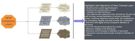 Buy Professional'S New Criminal Laws/ Criminal Manual Containing ...