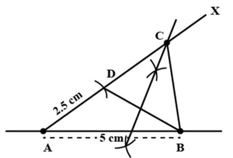 construct a ABC in which BC =5.3CM, LB =45° LA=75 ° - Brainly.in