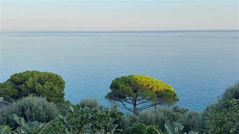 EUFONIA DEL MARE (Finale Ligure) - Hotel Reviews, Photos, Rate ...