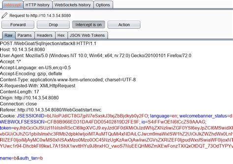 Image result for SQL Injection Wasp Code