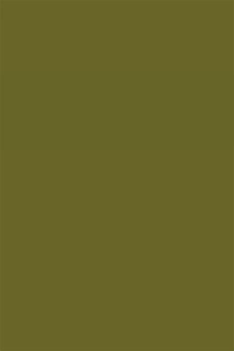 10123 OLIVE || Damas Laminates