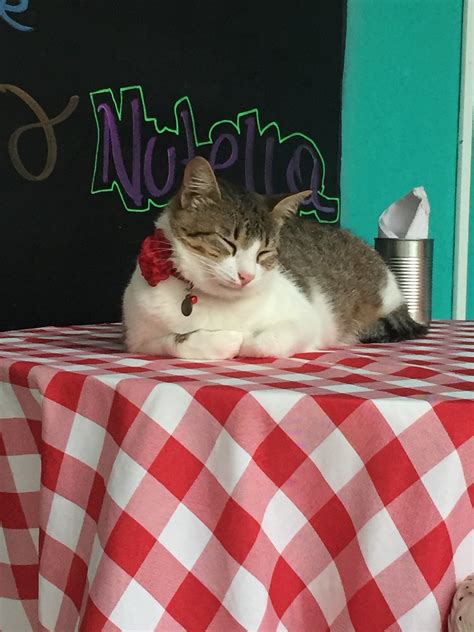 CASA COLIBRI PALOMINO - Guesthouse Reviews, Photos, Rate Comparison ...