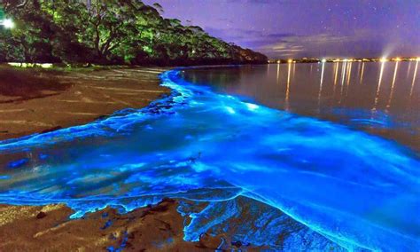 All-Inclusive Jamaica Stay with Tours from Hotel TROT in Negril ...