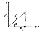 The x and Y components of a vector ` barP` have numerical values 5 and ...