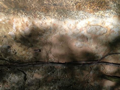 Mindfulness Meditation Group, 708 Jefferson Blvd, Lafayette, LA, United ...