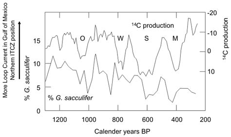 Image result for Loop Current