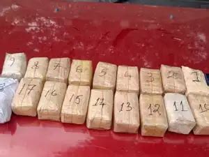 Rs 62 cr worth brown sugar, banned yaba tablets seized in Manipur, two ...