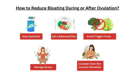 Does Ovulation Cause Bloating: What You Need to Know About? - FastDocNow