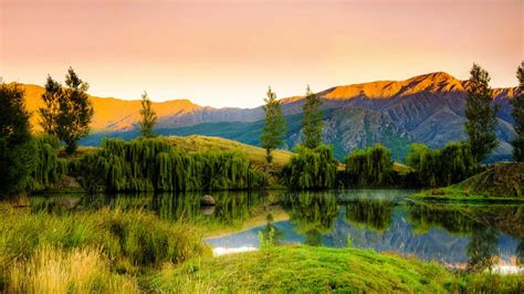 Temperate humid climate: areas, seasons, temperatures, rainfall ...